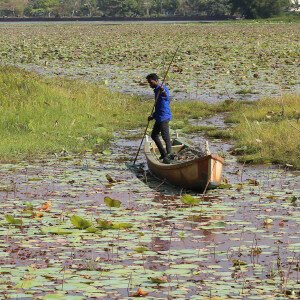 Boating on Vellayani Lake thumbnnail