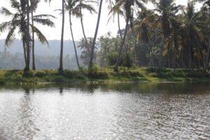 Vellayani Lake Shore