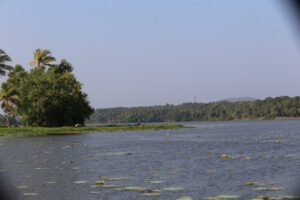 Vellayanai Lake expanse