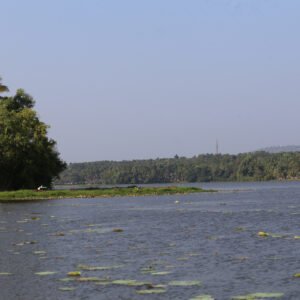Vellayanai Lake expanse